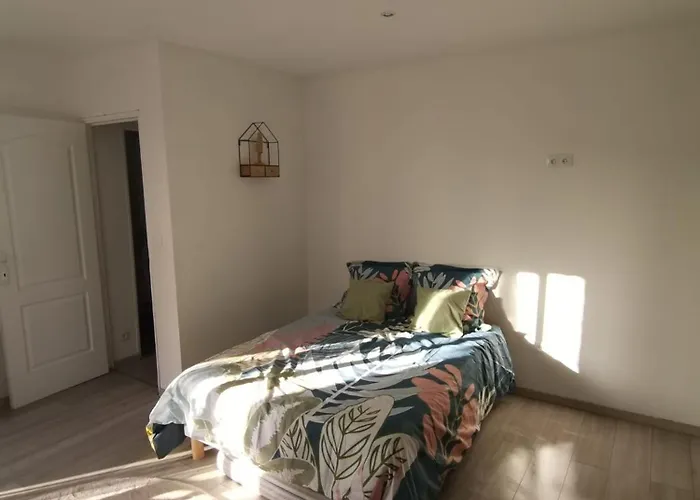 Le Cocon Havrais * Le Havre